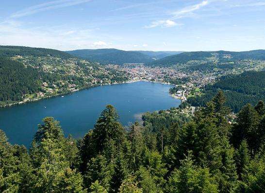 Beau Duplex A Proximite Du Lac De Gerardmer Avec Place De Parking Ngoại thất bức ảnh